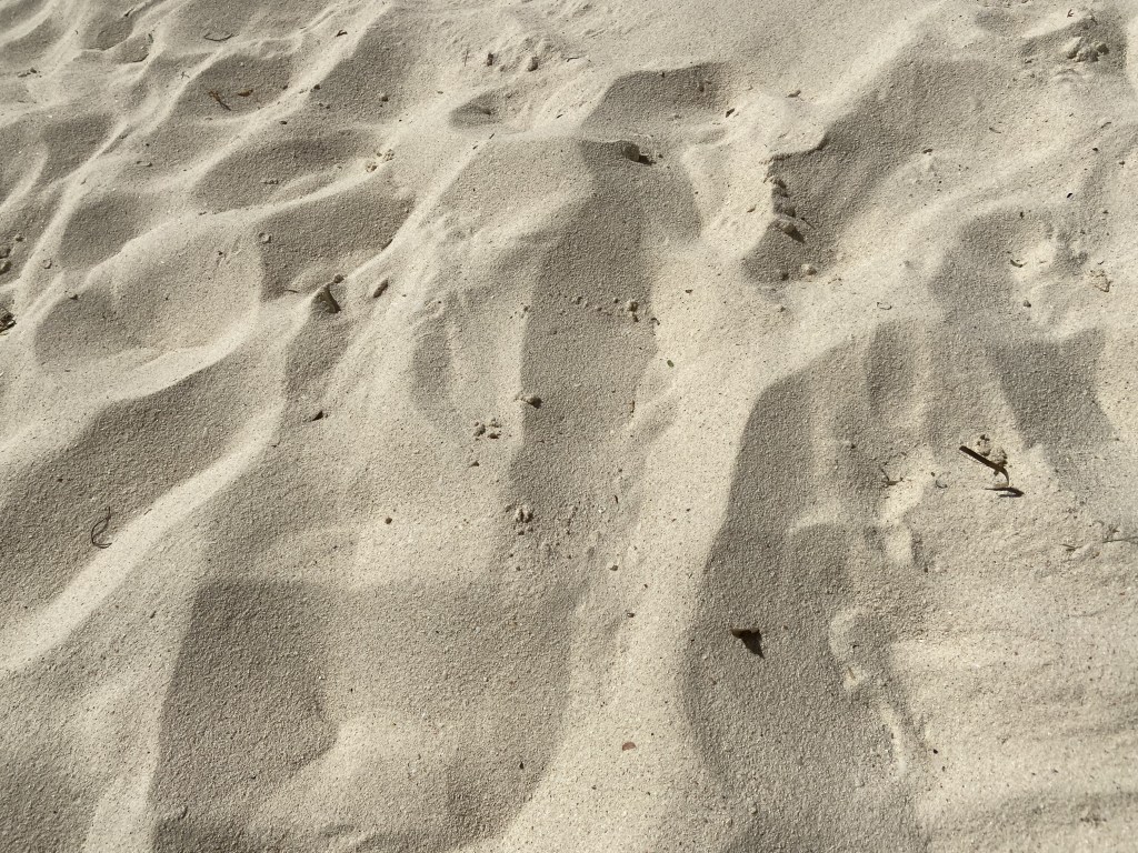 The reassurance of the mundane