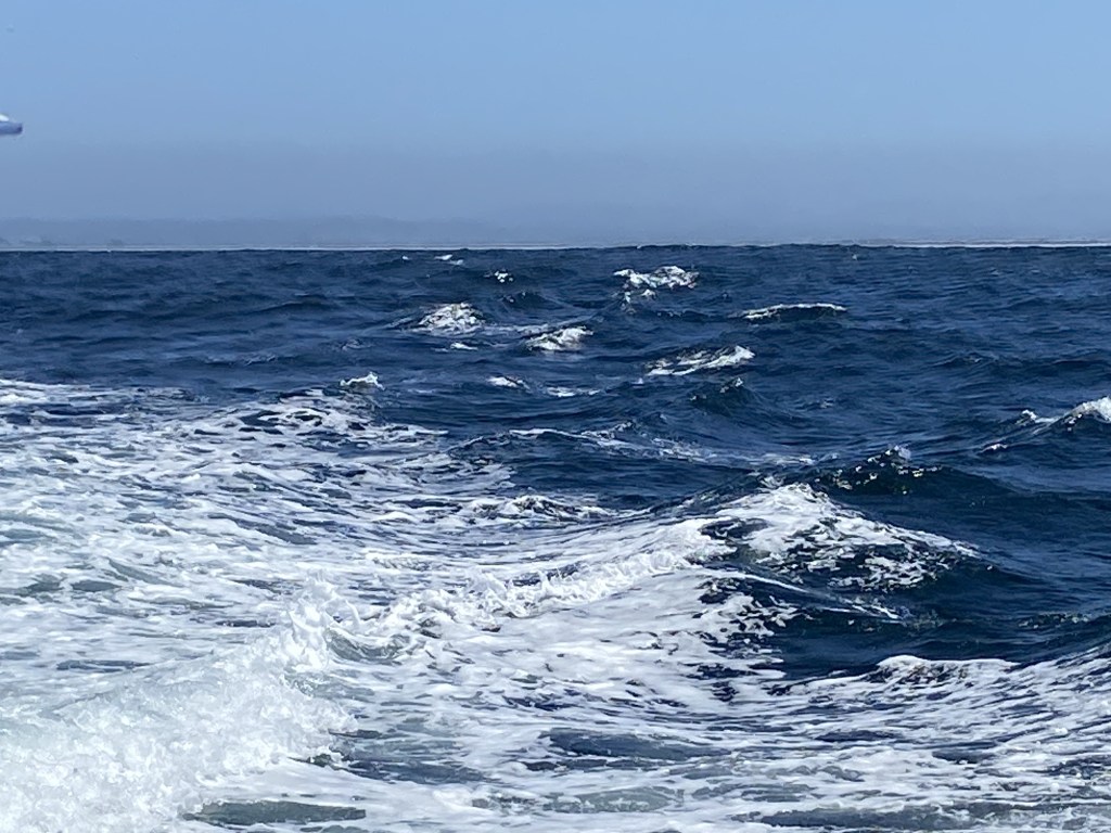 the first sound is&nbsp;silence