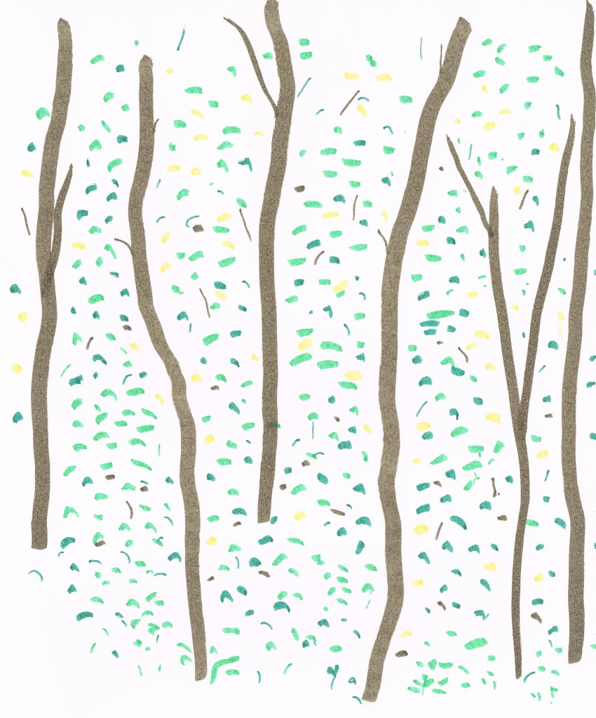 On Learning to Dissect Fetal Pigs – Words & Music