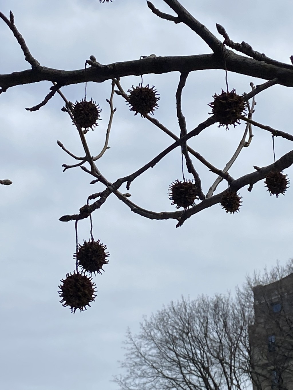 42 years and 19 jobs&nbsp;later…